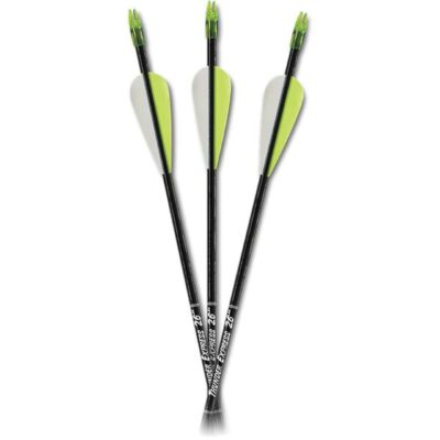 Carbon Express D-Stroyer arrows