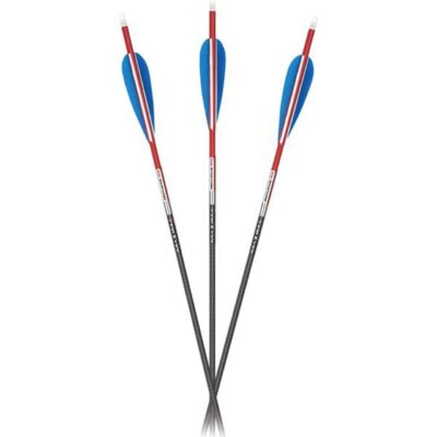 Carbon Express Nano Pro RZ target arrows