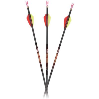 Carbon Express Nano Pro RZ arrows for target shooting and competitive archery