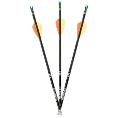 Carbon Express Nano XR arrows