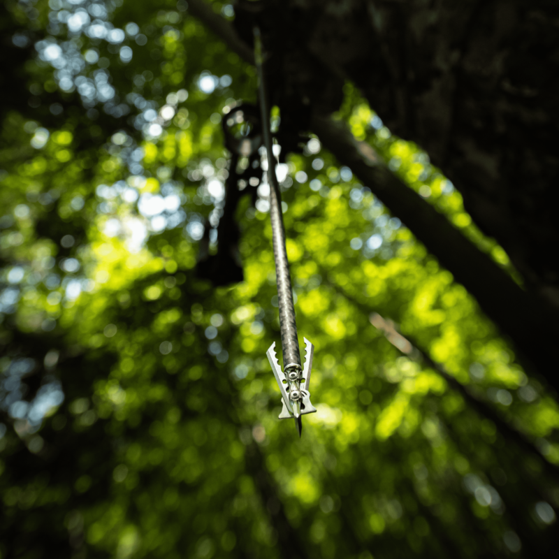 Hypodermic NC - Image 4