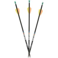 Nano .166 (6-pack with Feathers)