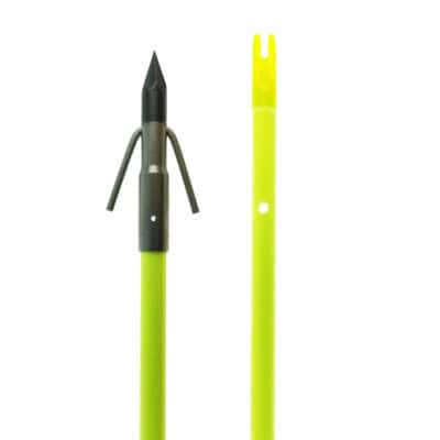 Chartreuse Carp Arrow