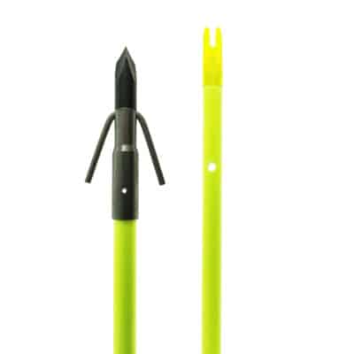Chartreuse Gar Arrow