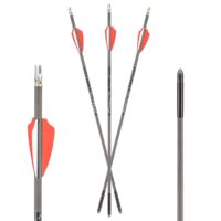17.5" AX405 Bolt Combo Pack with Axe Lit Nocks