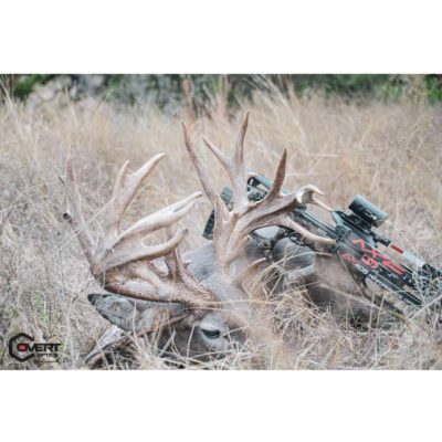 ThermX TRF Crossbow Mounted