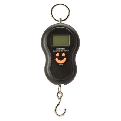 Digital Bow Scale