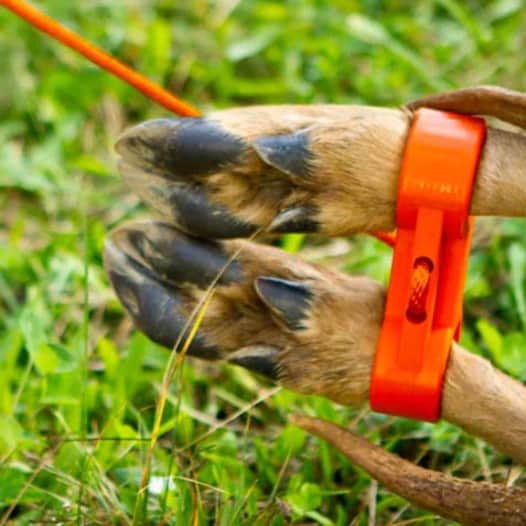 Leg Cuff Deer Drag Turkey Tote Carrier Inserts