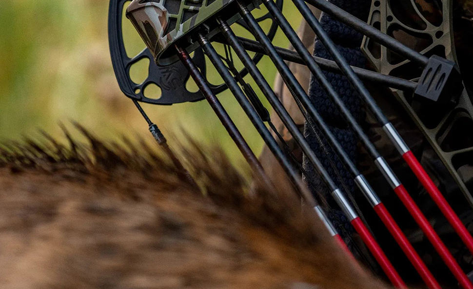 Carbon-Express carbon express arrows