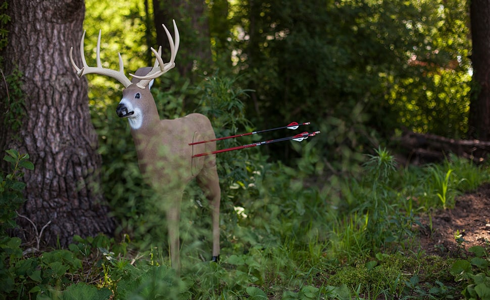 Buck target arrows