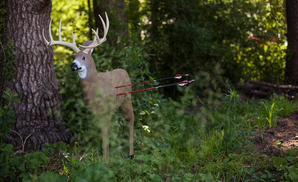Shooter Buck target arrows
