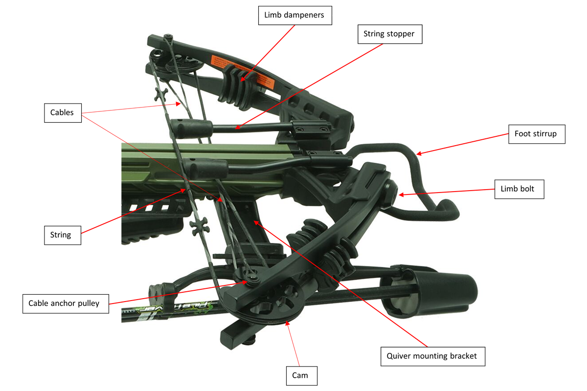 crossbow-diagram-fore-end