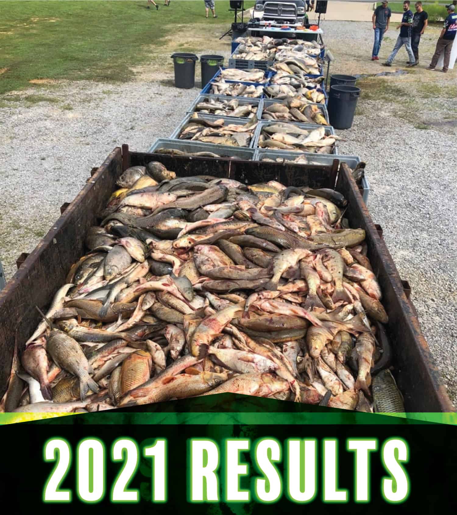 piles of dead fish in bins for 2021 results
