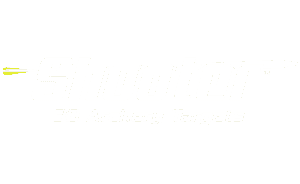 Shooter® 3D Archery Targets