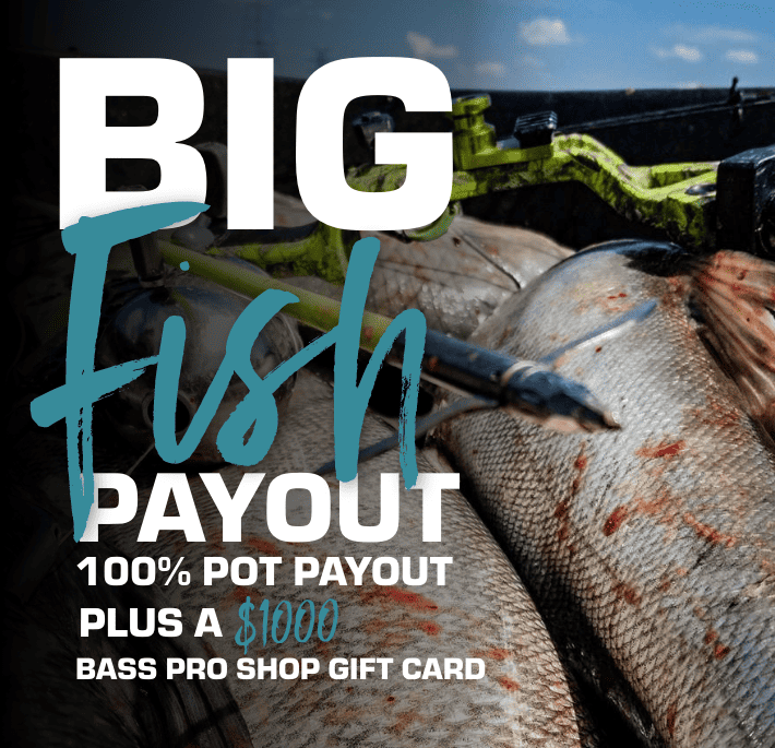 BigFishPayout_Banner