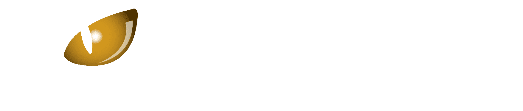Nockturnal logo in white