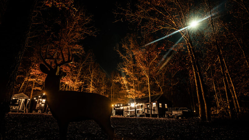 Blem GlenDel Buck - Image 8