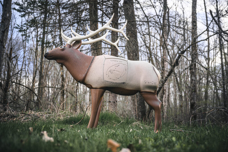 Blem GlenDel Elk - Image 8