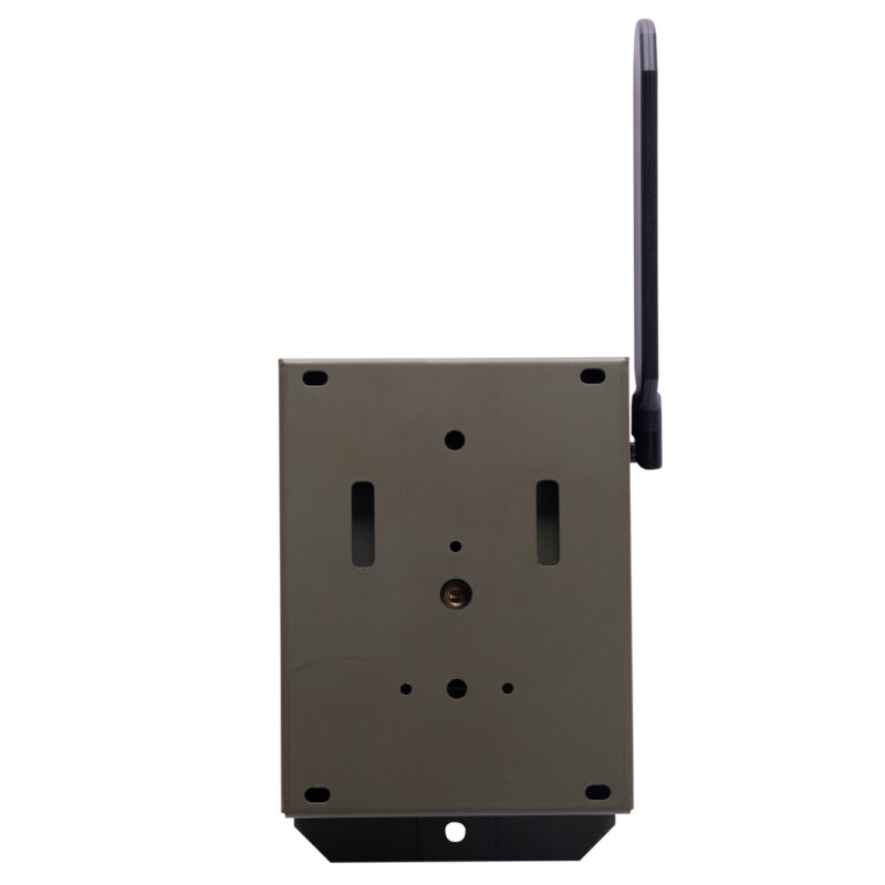 Interceptor Series Bear Safe - Image 2
