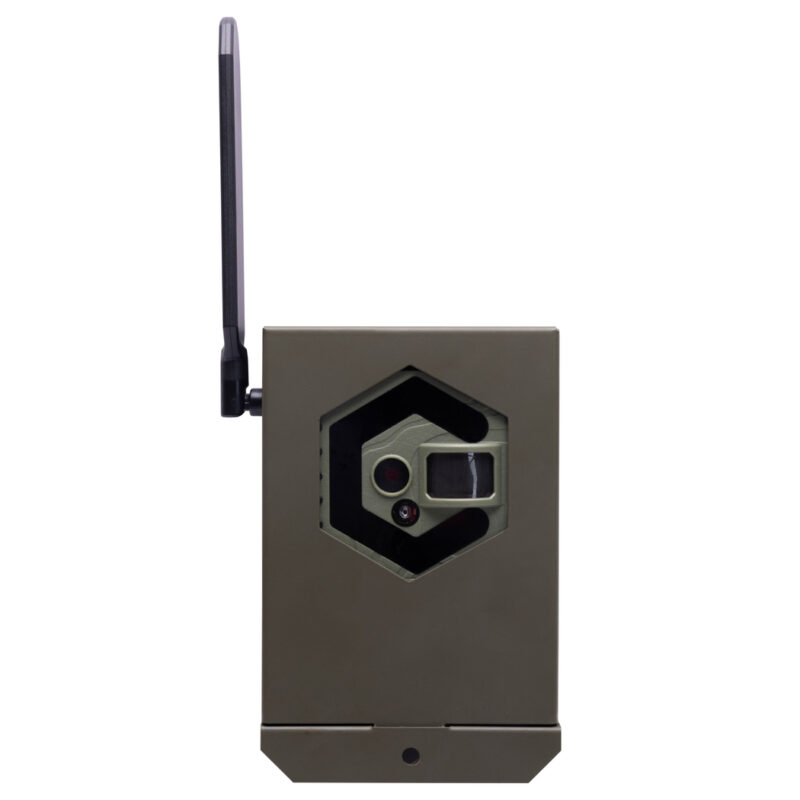Interceptor Series Bear Safe