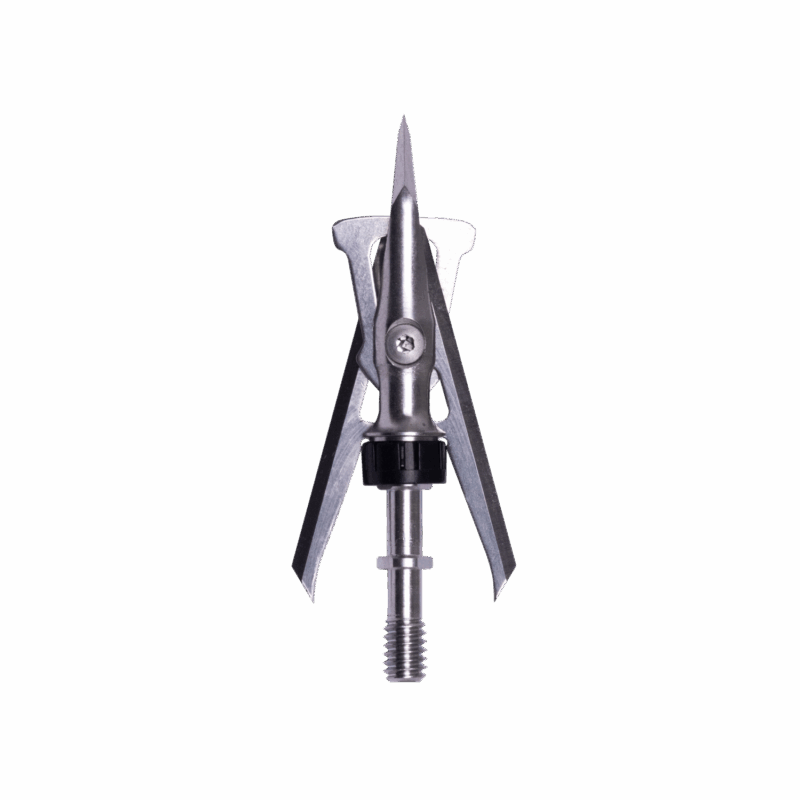 Hypo 2