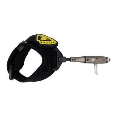 Spark 2.0 Buckle